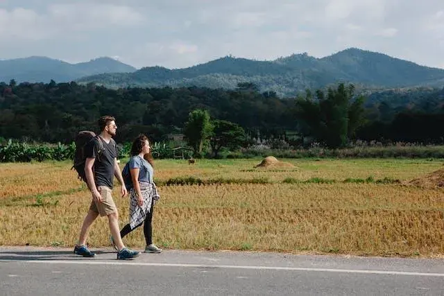 Tours of the Douro Valley: where wine culture meets natural beauty